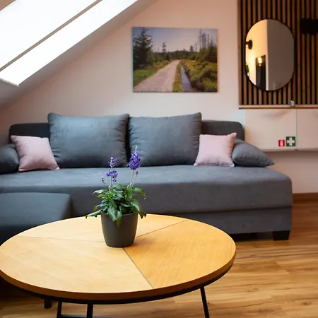 Neu! 9,5 Aussergewoehnlich Bergblick Mit Balkon Boxspringbett Kaffeevollautomat Inkl Bettwaesche Handtuecher #meenefewo De アパート バート・ハルツブルク
