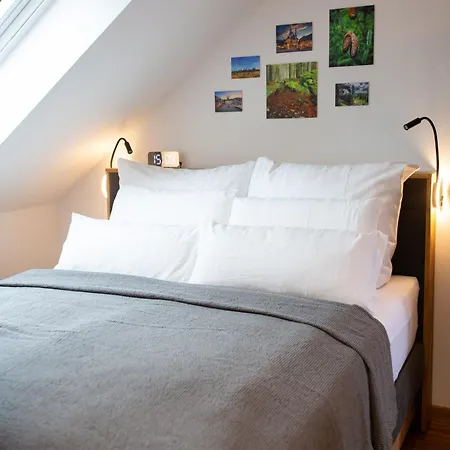 Neu! 9,5 Aussergewoehnlich Bergblick Mit Balkon Boxspringbett Kaffeevollautomat Inkl Bettwaesche Handtuecher #meenefewo De