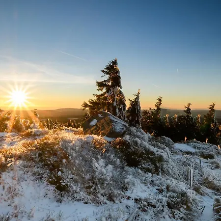 Neu! 9,5 Aussergewoehnlich Bergblick Mit Balkon Boxspringbett Kaffeevollautomat Inkl Bettwaesche Handtuecher #meenefewo De *