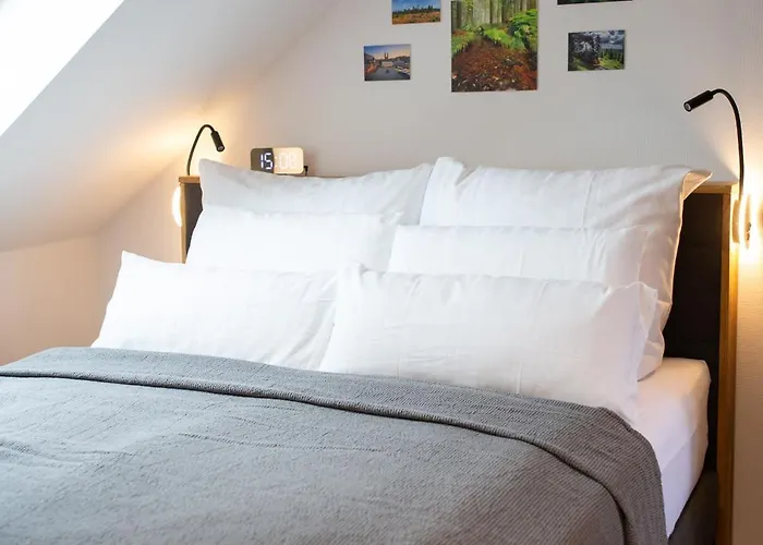Neu! 9,7 Aussergewoehnlich Bergblick Mit Balkon Boxspringbett Kaffeevollautomat Inkl Bettwaesche Handtuecher #meenefewo De